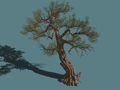 Bush With Twisted Trunk Dense Green Leaves And Exposed Roots In Blue Background 3d model