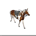 Standing Brown And White Horse With Gray Mane Tail Saddle Bridle On Orange Background