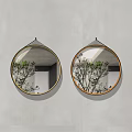 Two Round Hanging Mirrors On Wall Reflecting Indoor Plants And Ceiling 3d model
