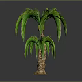 Two Palm Trees of Different Sizes with Green Leaves and Textured Trunks on Dark Ground