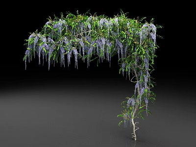 Lush Wisteria Vine Arbor With Hanging Purple Flowers And Green Leaves 3d model