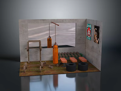 Compact Home Gym Training Area With Punching Bags Training Frame Weights And Posters 3d model