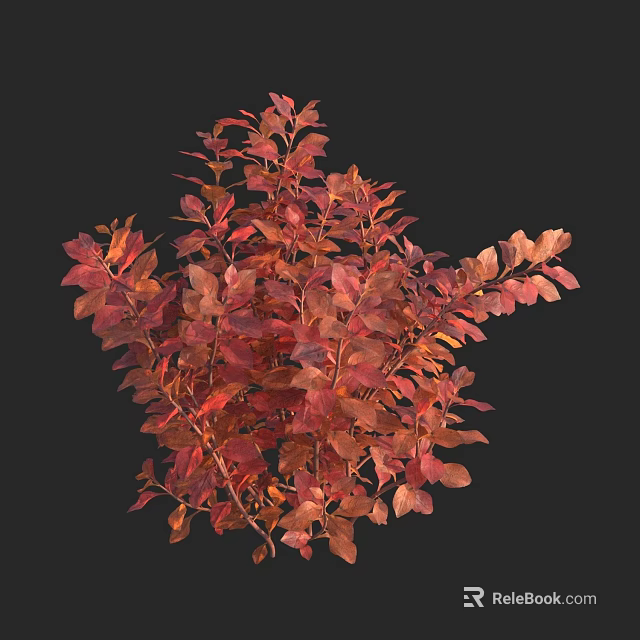 Vibrant Red Leaf Aquatic Plant With Lush Foliage And Natural Water Environment 3d model 