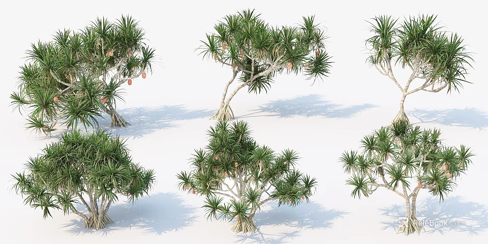 Lush Tropical Trees with Green Palm-like Leaves Small Red Fruits and Curved Trunks 3d model 