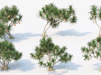 Lush Tropical Trees with Green Palm-like Leaves Small Red Fruits and Curved Trunks 3d model