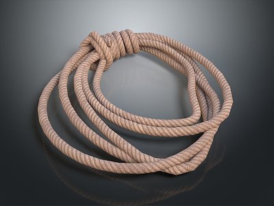 Rope pile rope hemp rope group rope life supplies construction supplies life-saving supplies model