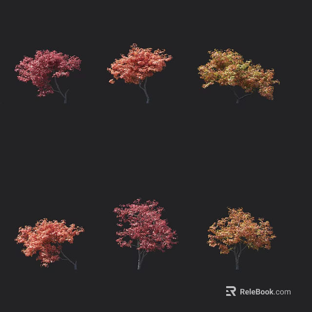 Colorful Autumn Trees With Red Orange Yellow Leaves For Landscaping Design 3d model 