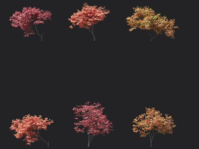 Colorful Autumn Trees With Red Orange Yellow Leaves For Landscaping Design 3d model