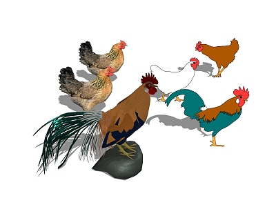 Modern Animal Poultry model