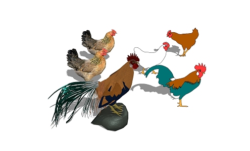 Modern Animal Poultry 3d model