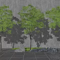 Three Arbor Trees Against Gray Wall With Stone Pavement Rocks And Grass 3d model