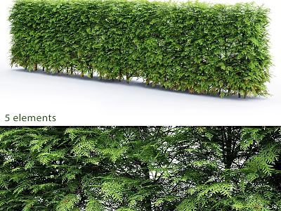 Decorative Ornament Set Featuring Green Hedge 5 Elements And Natural Leaves 3d model