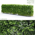 Decorative Ornament Set Featuring Green Hedge 5 Elements And Natural Leaves