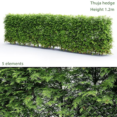 Decorative Ornament Set Featuring Green Hedge 5 Elements And Natural Leaves 3d model