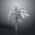 Silver Palm Tree with Feathery Fronds and Brown Trunk on Neutral Grey Background