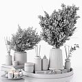 Elegant Decorative Ornament Set With Candles Dried Flowers Green Plants And Glass Vases