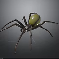 Realistic Spider Model With Dark Legs And Shiny Yellow Abdomen On Dark Background