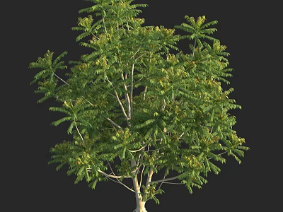 Lush Arbor With Green Foliage And Slender Trunk In Natural Environment 3d model