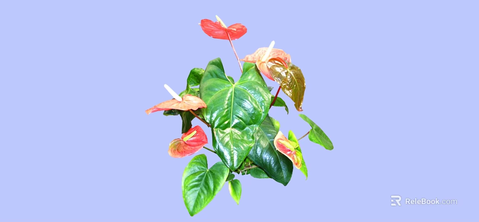 Lush Green Bush with Red and Pink Blooms and Glossy Leaves on Light Blue 3d model 