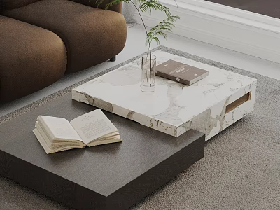 Modern Living Room Brown Sofa And Marble Coffee Table Set With Books Vase Plant Rug 3d model