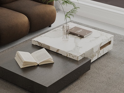 Modern coffee table model