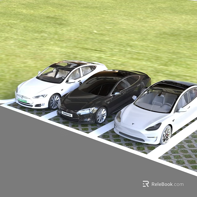 Three Tesla Electric Cars Parked In Grass Parking Space With White And Black Exterior 3d model 