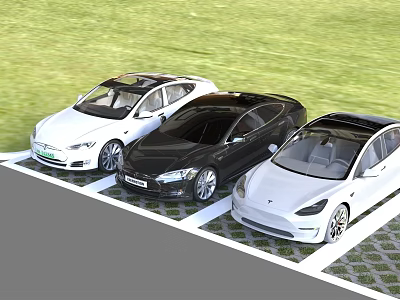 Three Tesla Electric Cars Parked In Grass Parking Space With White And Black Exterior 3d model