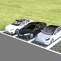 Three Tesla Electric Cars Parked In Grass Parking Space With White And Black Exterior