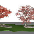 Red Leaf Maple Trees Growing On Green Grass With Stones 3d model