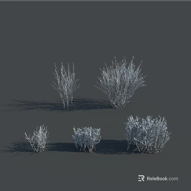 Decorative Shrubs With White Branches In Various Sizes For Landscape Design 3d model