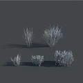 Decorative Shrubs With White Branches In Various Sizes For Landscape Design 3d model