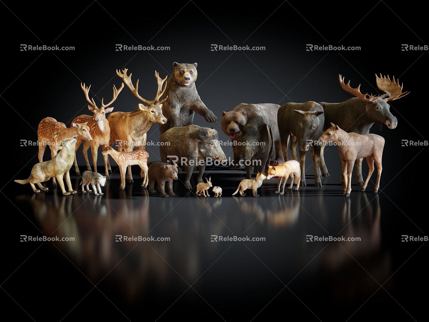 Modern Animals Forest Animals 3d model