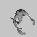 The image does not contain a woman as the main subject so it's not possible to generate the required title based on the provided visual information.