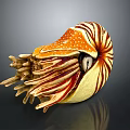 Modern Nautilus Shell Sea Shell Seafoil 3d model