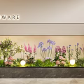 Colorful Flowers and Green Plants in SKINWARE Modern Display with Soft Lighting and Marble Floor