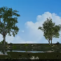 Garden Landscape With Blue Sky White Clouds Large Trees Grassland Pond Stones And Lotus Flowers