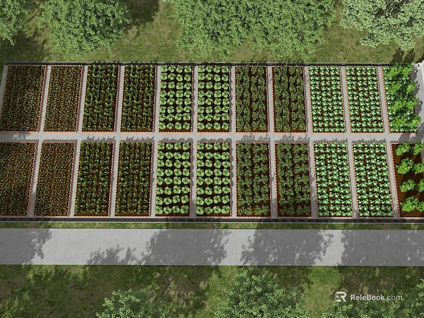 Scenic Rural Landscape Featuring Neatly Arranged Planting Beds Green Crops Narrow Pathway And Surrounding Trees 3d model 