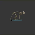 Standing Monkey Skeleton on Blue Base with Detailed Anatomical Structure
