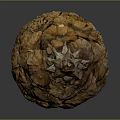 Natural Brown Pine Cone With Detailed Spiral Scales On Dark Background