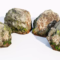 Natural Stone and Wood Elements in Decorative Arrangement with Mossy and Textured Surfaces