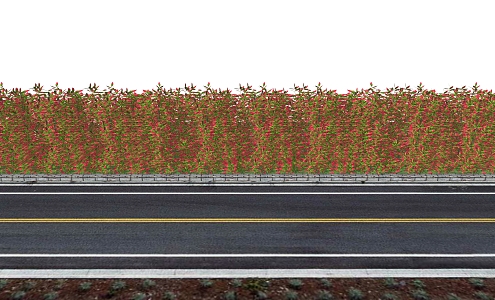 Modern hedgerow wall 3d model