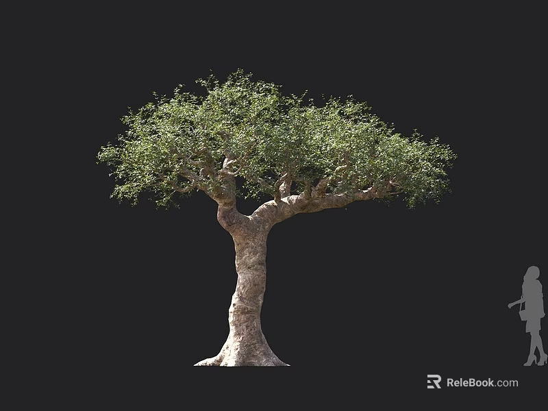 Tall Arbor Featuring Thick Trunk And Lush Green Foliage With Human Silhouette 3d model 