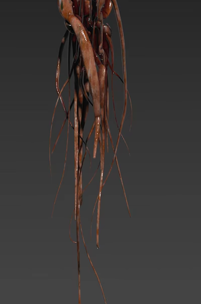 Mysterious Octopus Like Creature With Brown Slender Glossy Tentacles On Gray Background 3d model