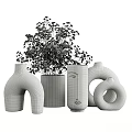 Beige Vases With Various Shapes And Dried Flower Arrangement For Home Decor