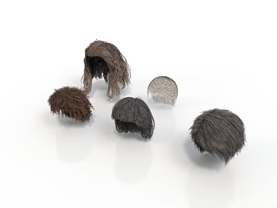 Realistic Style Wig Wig Long Hair Wig Short Hair Wig Curly Hair Wig Gray Hair Wig Clothes Realistic Cartoon 3d model