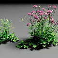 Vibrant Purple Flowers With Lush Green Leaves In Decorative Plant