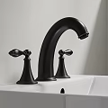 White Washbasin with Black Faucet and Two Handles in Modern Bathroom Setting