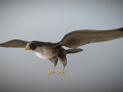 Flying Falcon Themed Weapon Design With Detailed Craftsmanship And Metal Finish 3d model