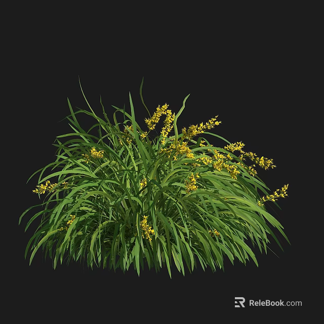 Green Grass With Small Yellow Flowers In A Clump On Black Background 3d model 