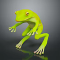 Green Frog Standing With Yellow Eyes And Stretched Limbs On Dark Surface With Reflection